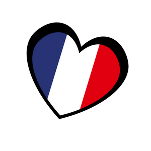 icon-france